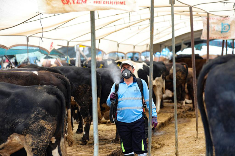 Bayraklı Belediyesi Kurban Bayramına hazır